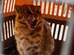 <strong>天津市蓟州区林业局联合</strong>